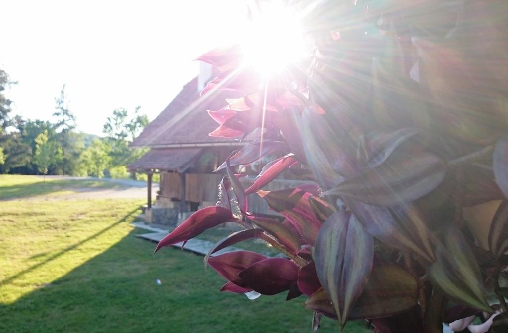 Rustic Home Mia Duga Resa Rum bild