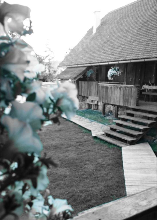 Rustic Home Mia Duga Resa Rum bild