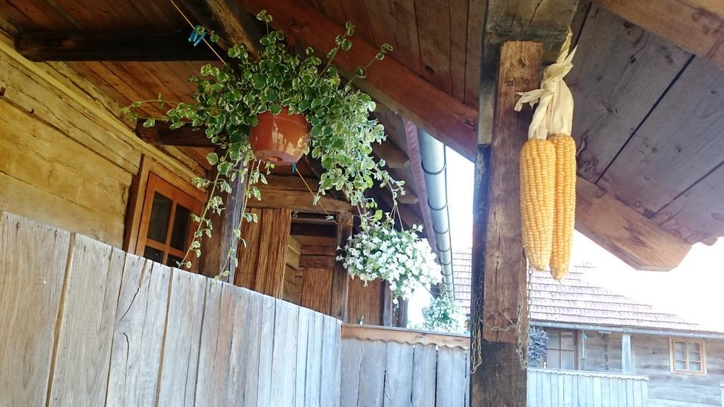 Rustic Home Mia Duga Resa Rum bild