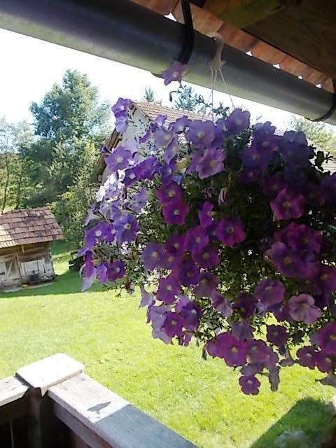 Rustic Home Mia Duga Resa Rum bild
